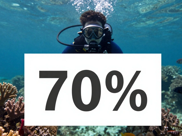 White Balance Cards Underwater: How to Get Accurate Colors in Underwater Photography and Video