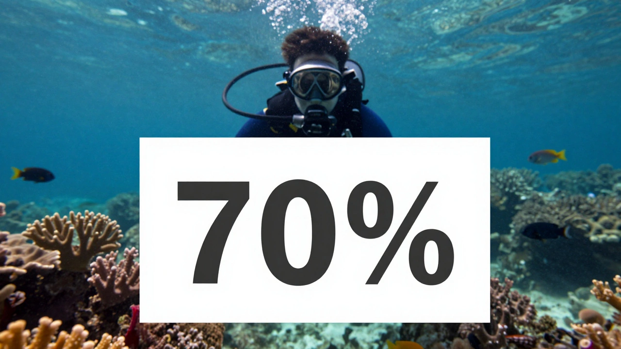 White Balance Cards Underwater: How to Get Accurate Colors in Underwater Photography and Video