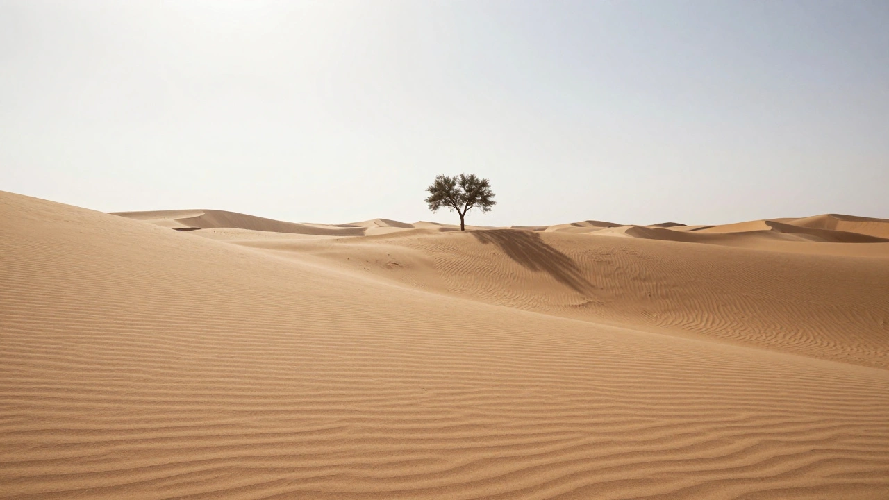 A high horizon composition showcasing detailed desert dunes with a lone tree, under a minimal sky.
