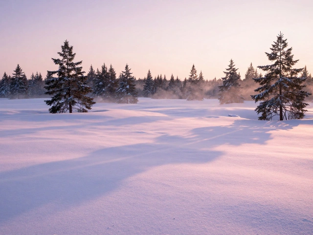 Snowy Landscape Photography: Master White Balance and Exposure for Perfect Snow Shots