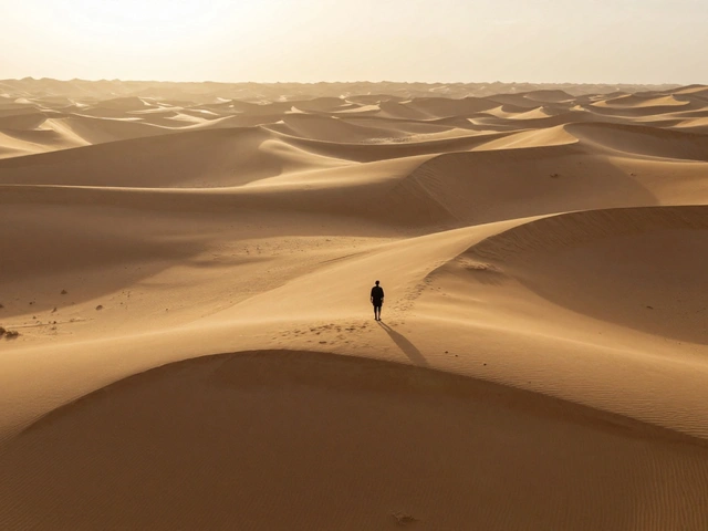 Point of View and Perspective in Photography: How Camera Angle Transforms Your Subject