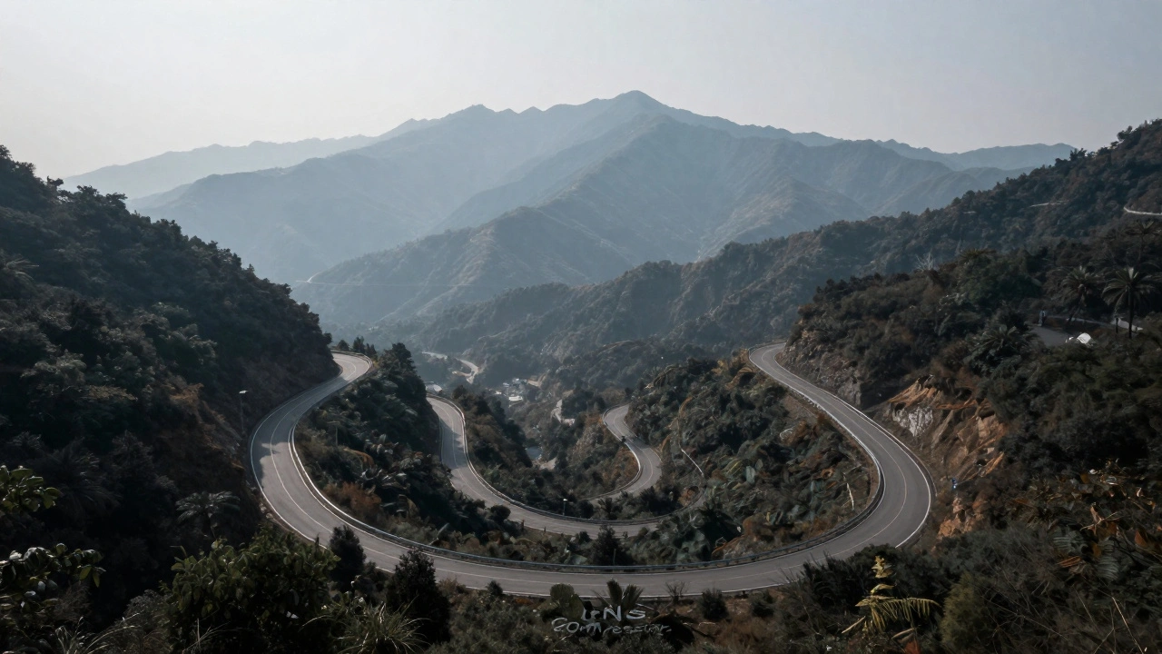A compressed view of a winding road with towering mountains behind a forest