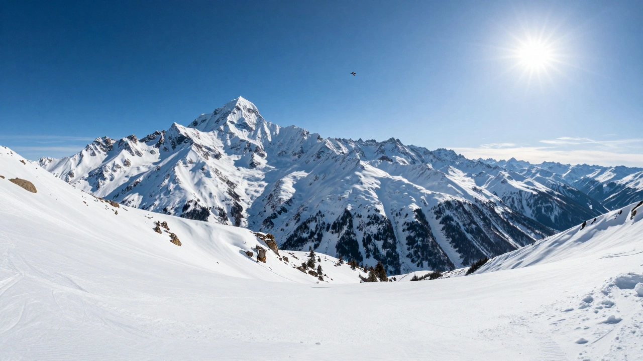 Advanced Workflows for Maximum Detail