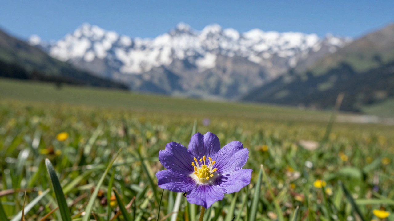 Foreground Elements in Landscape Photography: Creating Interest and Depth