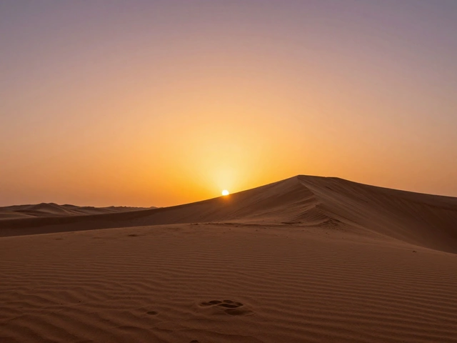 Mastering Composition: Exercises for Thirds, Lines, and Balance