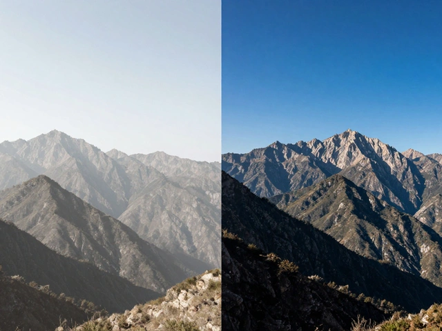Mastering Exposure and Contrast: A Guide to Better Photo Editing