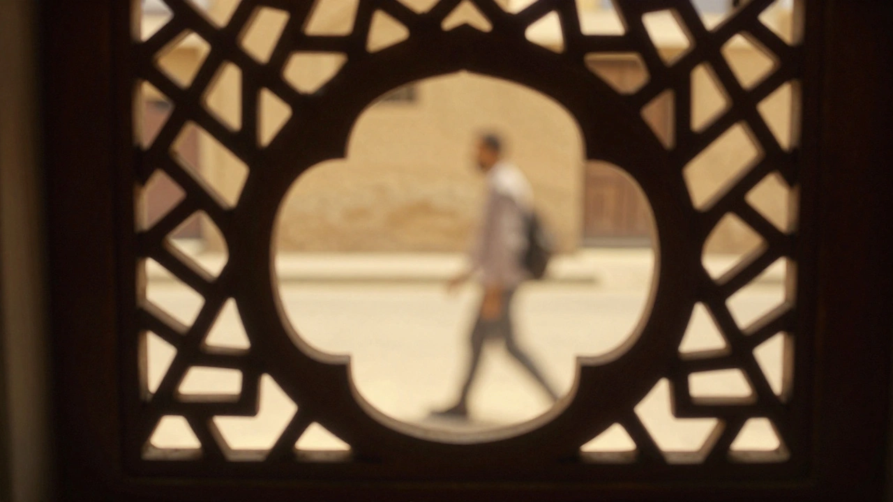 Person framed by an ornate wooden lattice window against a bright street