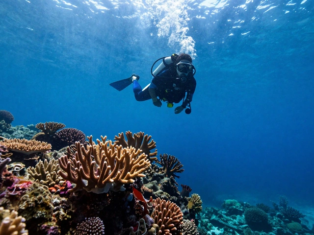 Wide-Angle Underwater Photography: How to Capture Expansive Seascapes