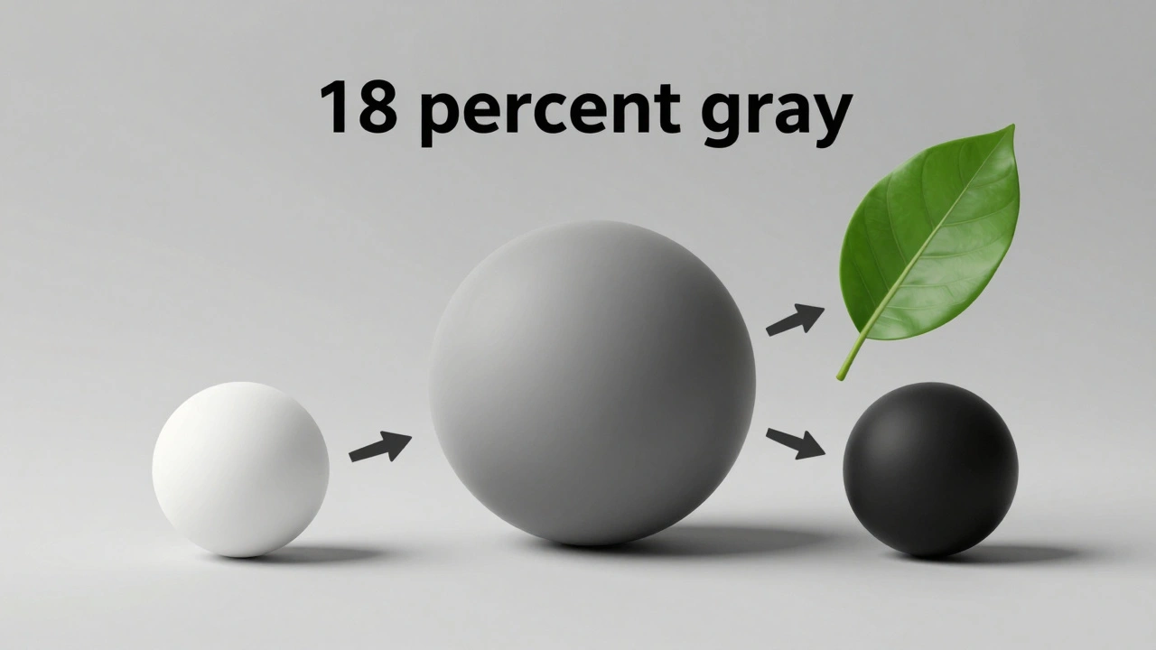 Visual explanation of how cameras expose for 18% gray tone.