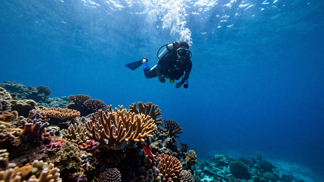 Wide-Angle Underwater Photography: How to Capture Expansive Seascapes