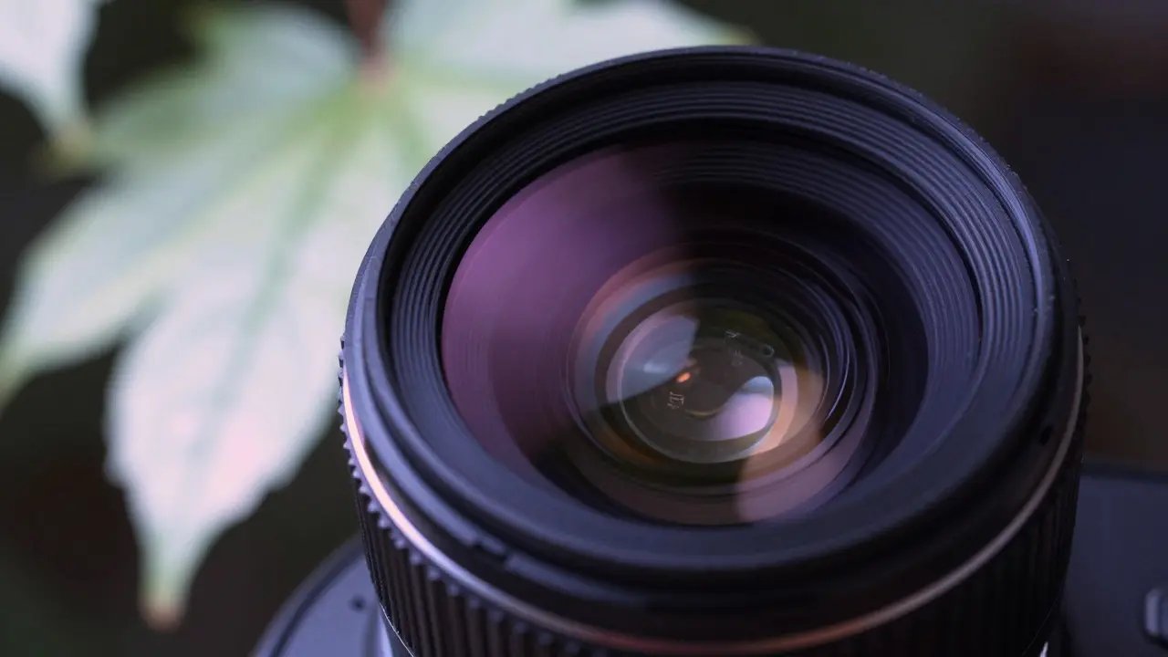 Infrared Filters in Photography: Complete Guide to IR Camera Conversion