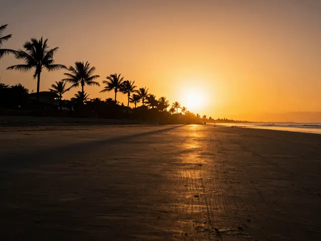 Dynamic Range in Cameras: What It Means for Exposure and Detail