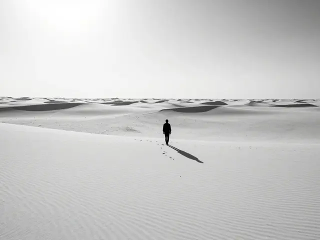Emotional Impact in Photography: How Composition and Light Create Language