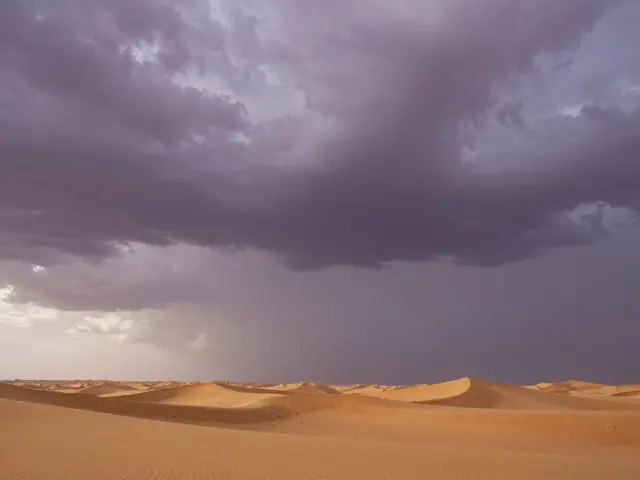 Horizon Placement in Landscape Composition: Sky vs. Land Balance Guide