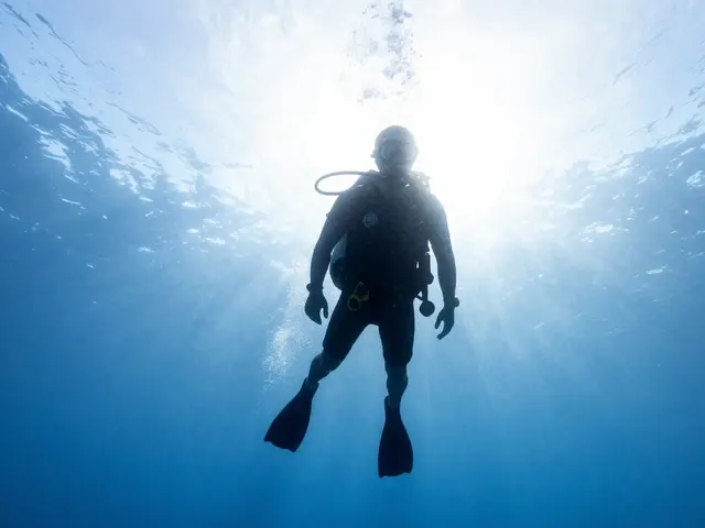 Underwater Silhouette Photography: Mastering Backlit Water Scenes