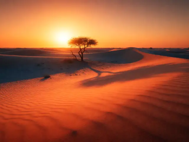 Golden Hour Landscapes: Best Times and Techniques for Warm Light